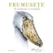 Frumusete. O celebrare a evolutiei