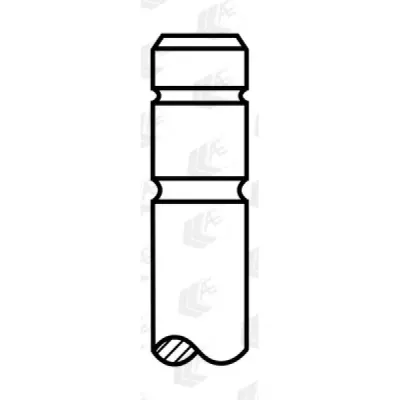 Supapa evacuare AE V94631