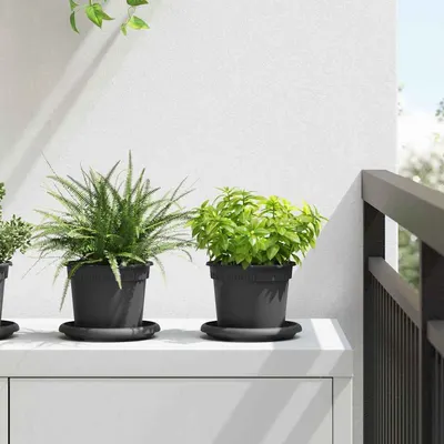 vidaXL Ghiveci rotund pentru flori 6 buc. Negru Ø 12,5 x 10 cm Plastic