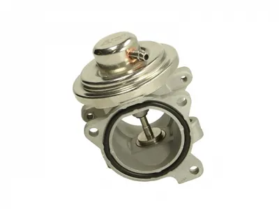 Supapa Egr Potrivit Audi A2; Seat Cordoba, Ibiza Iii; Skoda Fabia I, Fabia I Praktik, Fabia Ii, Roomster, Roomster Praktik; Vw Fox, Polo, Polo Iv 1.4d 02.00-03.10
