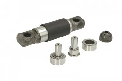 Set reparatie furca ambreiaj (pivot; role; rulment) ZF AS TRONIC 12 AS 2001 BO; 12 AS 2301; 12 AS 2301 IT; 12 AS 2301 IT ASF; 12 AS 2331 TD potrivit DAF CF, XF 105, XF 106, XF 95 01.02