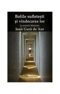 Bolile sufletești și vindecarea lor în scrierile Sfântului Ioan Gură de Aur - Paperback brosat - Ovidiu Lăzărescu
