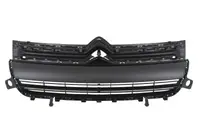 Grila radiator potrivit CITROEN BERLINGO, BERLINGO MULTISPACE, BERLINGO/MINIVAN 1.2-Electric dupa 2005 - (CZ)