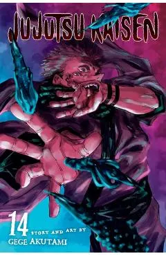 Jujutsu Kaisen, Vol. 14, 14
