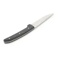 Set de cuțite pentru friptură negru/argintiu din oțel 4 buc. Carne – BonBistro