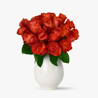 Buchet de 19 trandafiri portocalii