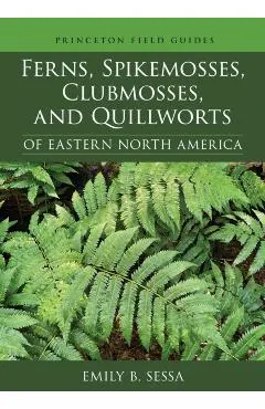 Ferns, Spikemosses, Clubmosses, and Quillworts of Eastern North America