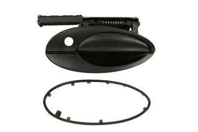 Maner usa Dreapta Fata potrivit CITROEN C5 I, C5 II 2001-2008 - (exterior; grund)