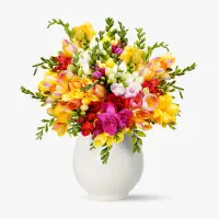 Buchet de 51 frezii multicolore