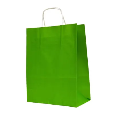 Pungi din Hartie cu Manere, Verde Deschis, Interior Alb, 32 x 12 x 41 cm, 100 Bucati