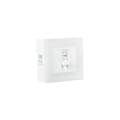 Panou Boiler Montat pe Suprafata Labeo 25a