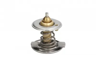Termostat lichid racire (87 C, cu carcasa) MERCEDES Clasa C (A205), C (C205), C T-MODEL (S202), C T-MODEL (S205), C (W202), C (W205), CLK (A208), CLK (C208), COUPE (C124), E (A124) 1.8-2.3CNG
