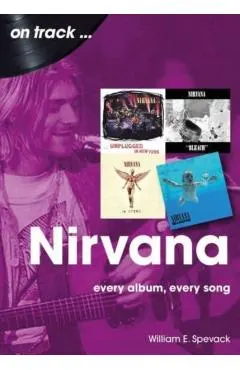 Nirvana: Every Album, Every Song