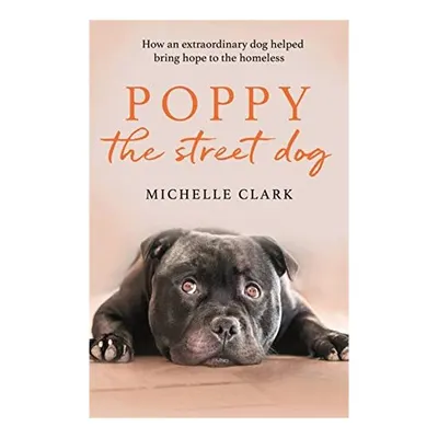 Poppy The Street Dog