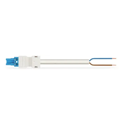 pre-assembled connecting cable; Eca; Socket/open-ended; 2-pole; Cod. I; H05VV-F 2 x 1.0 mm²; 5 m; 1,00 mm²; blue