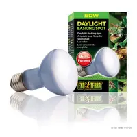 Exi Terra Bec Daylight 150 W PT 2134