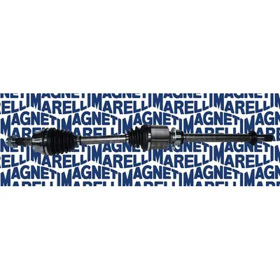 Planetara MAGNETI MARELLI 302004190048