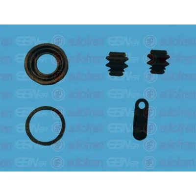 Set reparatie, etrier AUTOFREN SEINSA D41841