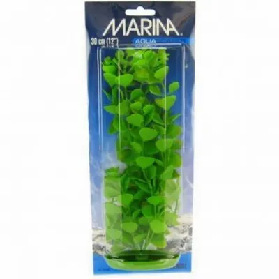 Marina Planta Moneywort 20 cm PP816