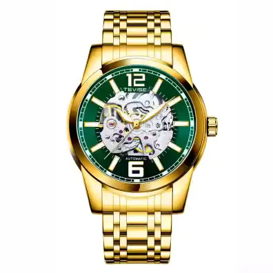 Ceas barbatesc de mana Tevise Elegant Casual Fashion Mecanic Automatic Business Auriu