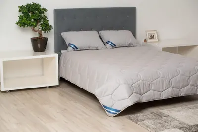 Set Somnart Bella cu pilota 180 x 200 model biscuite si 2 perne 50 x 70 cm din bumbac gri