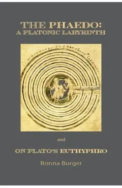 The Phaedo: A Platonic Labyrinth and on Plato's Euthyphro: New Edition