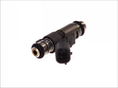 Injector Citroen C2, C3 I, C3 Pluriel, C4, C4 I; Peugeot 1007, 206, 207, 307 1.4 1.4cng Dupa 2000