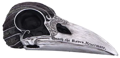 Decorație Nemesis Now Adult: Gothic - Quoth The Raven, 20.2 cm