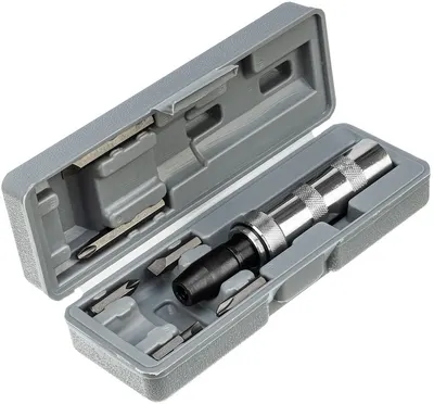 Set șurubelniță cu biți MTX - 6 bucăți, în cutie de plastic