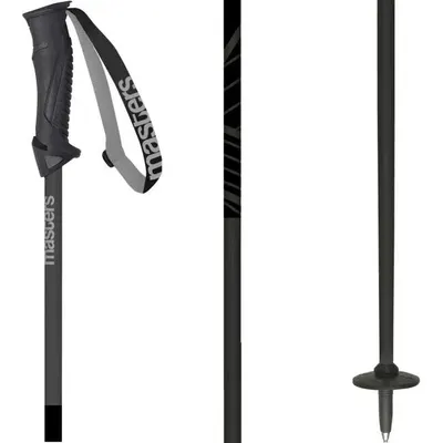Bețe Schi MASTERS Alpine Carbon, Gri Închis, Unisex