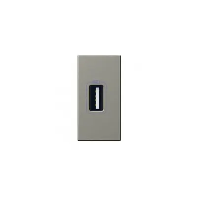 USB power supply Arteor - single USB prizas - 5 V- 750 mA - 1 module - magnesium