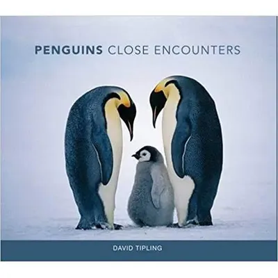 Penguins: Close Encounters