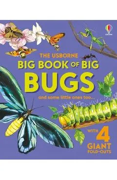 Big Book of Big Bugs