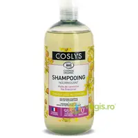 Sampon Ingrijire Par Uscat si Deteriorat cu Ulei de Camelina Format Mare Bio 500ml