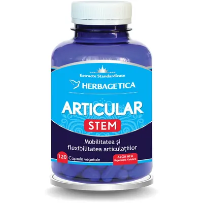 Articular Stem 120cps