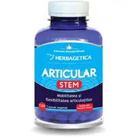 Articular Stem 120cps