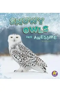 Snowy Owls Are Awesome