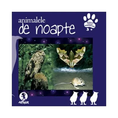 Animalele de noapte - Hardcover - Teodora Terciu