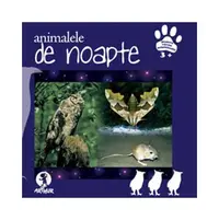 Animalele de noapte - Hardcover - Teodora Terciu
