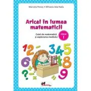 Aricel in lumea matematicii