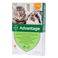 Advantage 40 Cat/ Rabbit x 4 Pipete
