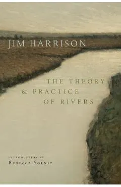 The Theory and Practice of Rivers