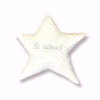 Perna decorativa personalizata Steluta din plus minky alb