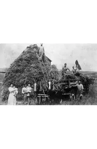 Mrs. Cook and the Klan: Booze, Bloodshed, and Bigotry in America's Heartland