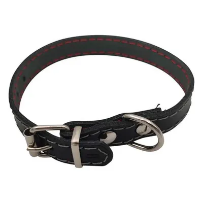 Zgarda din piele pentru caini Nr.0 Petro Neagra 6 x 3 x 1,5 cm