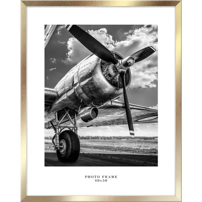 Ramă foto de perete Styler Floryda, 43 x 53 cm, auriu