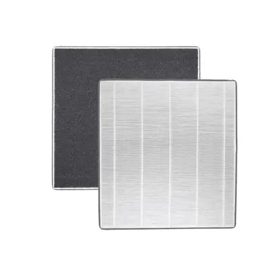 Filtru combinat de schimb pentru dezumidificatorul Olimpia Splendid Aquaria 20P/24P