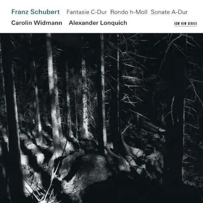 Schubert: Fantasy