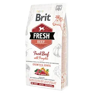 Brit Fresh Beef and Pumpkin Puppy Large 2.5 kg