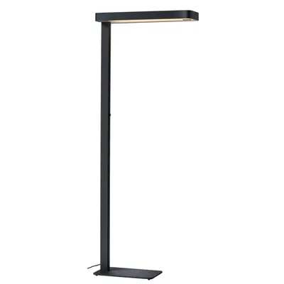 Lampa pla, Worklight PLUS lampi Podea, antracit pla cu LED-uri de interior, stand, 3000K, antracit